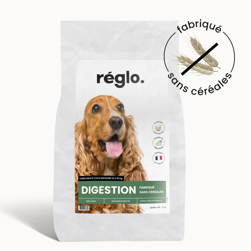 Croquettes Digestion