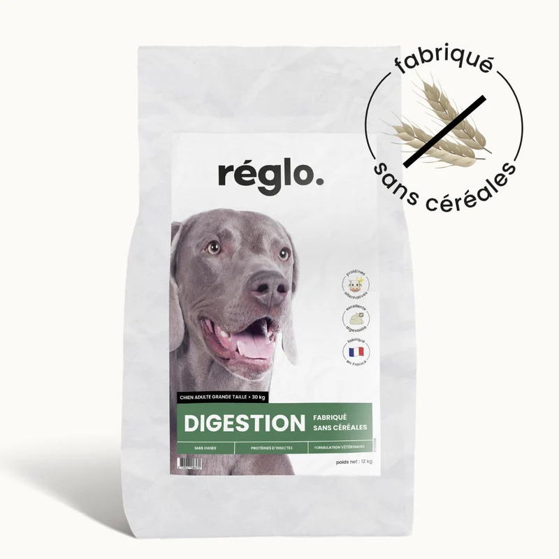 Croquettes Digestion
