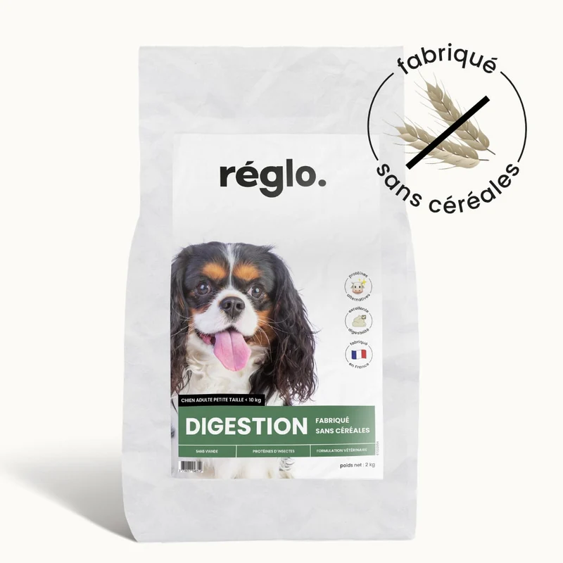 Croquettes Digestion