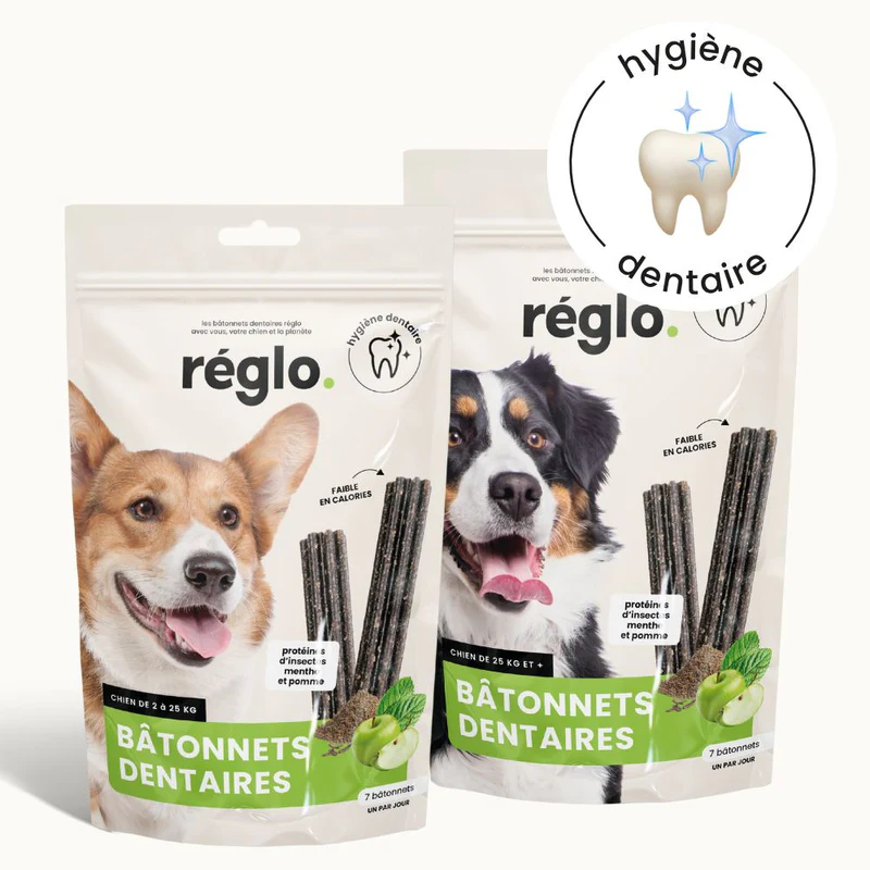 Bâtonnets Dentaires Hypoallergéniques